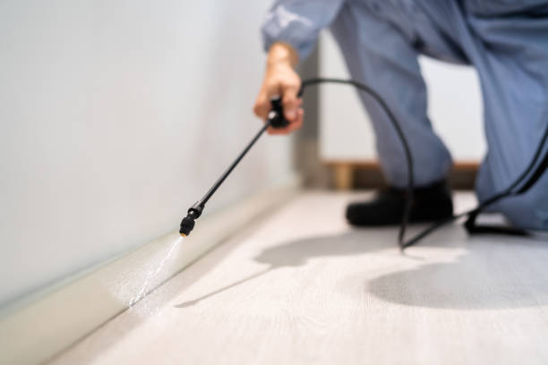 Licensed Pest Control service in Surrey, ND - Show Me Pest Control