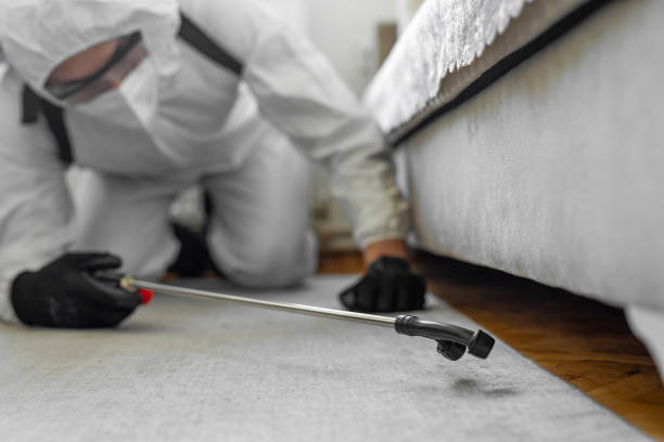 Professional Ant Control technician working in Surrey, ND