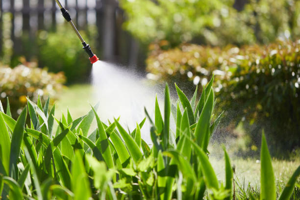 24/7 Emergency Ant Control experts in Surrey, ND