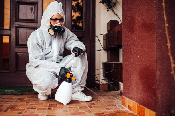Reliable Ant Control contractor in Surrey, ND by Show Me Pest Control