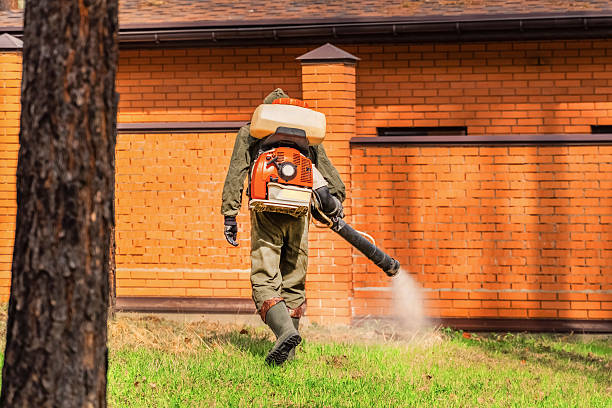 Top rated local Ant Control specialists in Surrey, ND